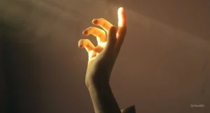 Questions To Ask Your Brand Designer Before You Book